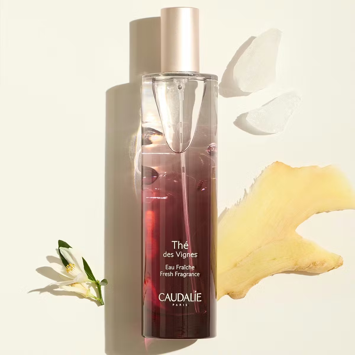 Thé des Vignes Light Fragrance